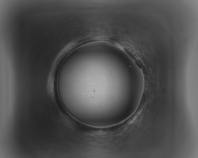 X0000100750197200806261551