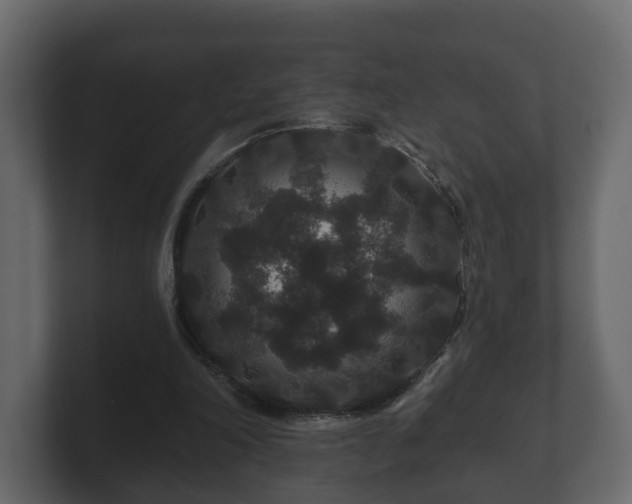 X0000100750198200806261551