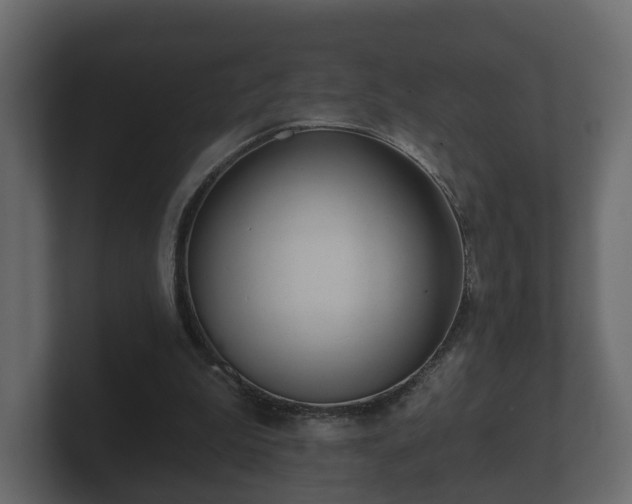 X0000100750199200806261551