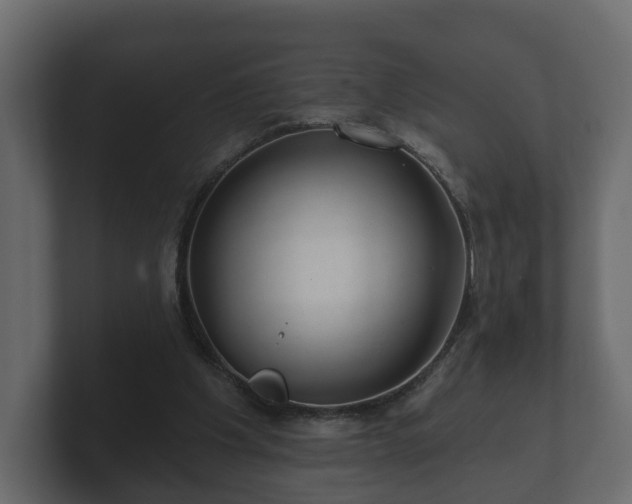 X0000100750201200806261551