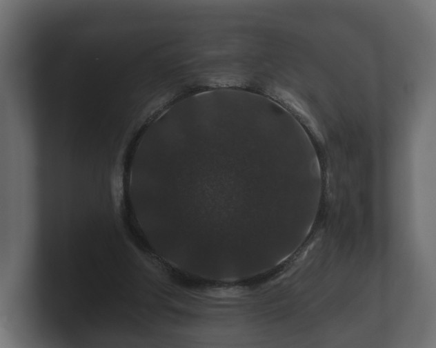 X0000100750202200806261551