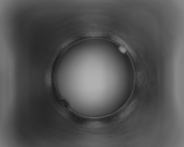 X0000100750203200806261551