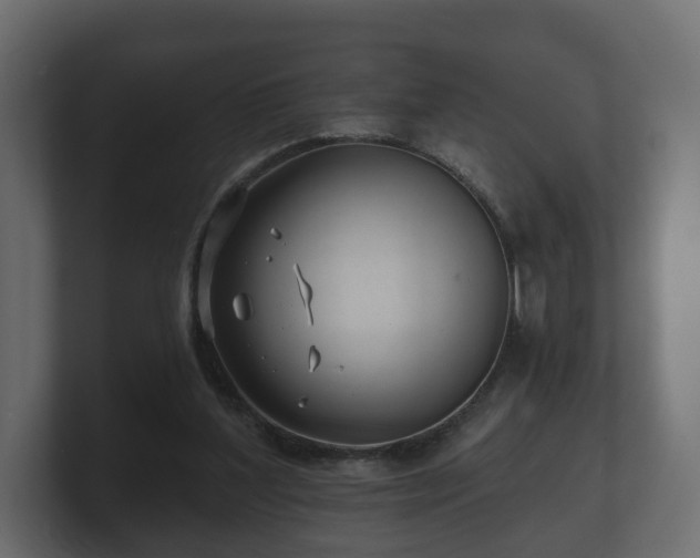 X0000100750204200806261551