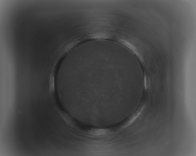 X0000100750205200806261551