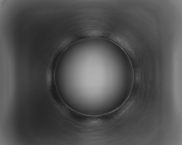 X0000100750206200806261551