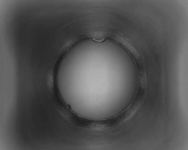 X0000100750207200806261551