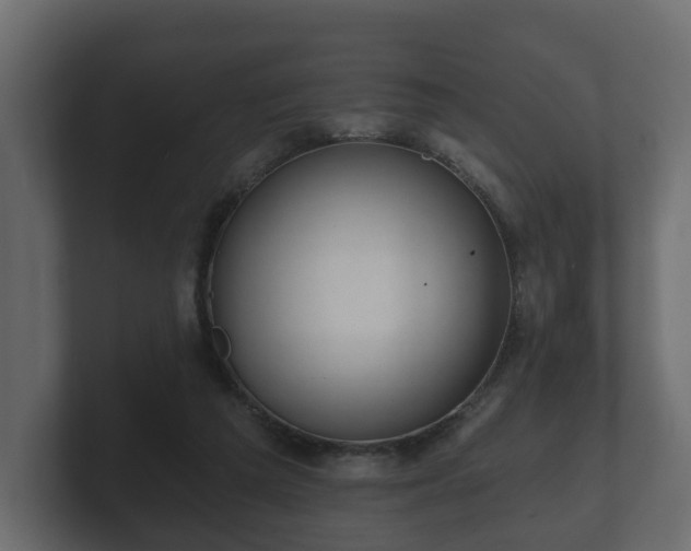 X0000100750209200806261550