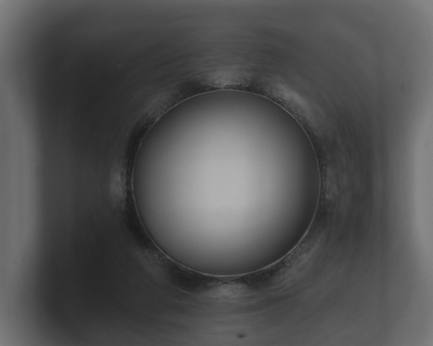 X0000100750210200806261550