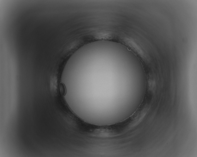 X0000100750211200806261550