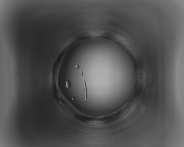 X0000100750212200806261550