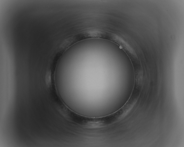 X0000100750213200806261550