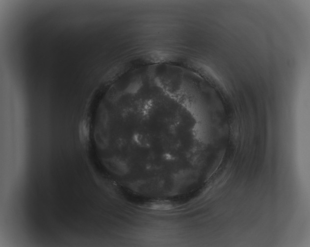 X0000100750214200806261550