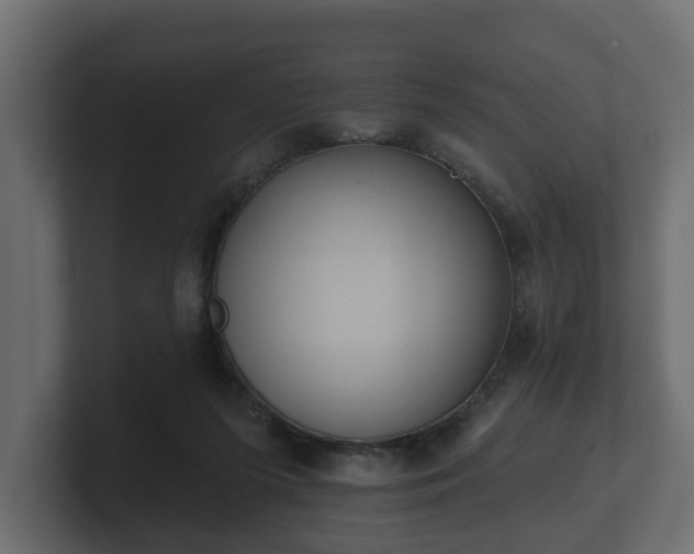 X0000100750215200806261550