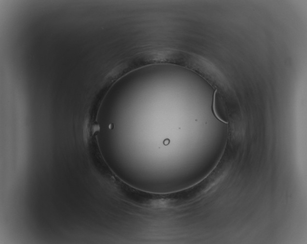 X0000100750216200806261550