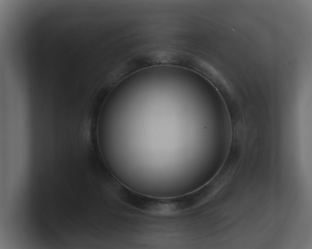 X0000100750217200806261550