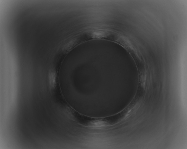 X0000100750219200806261550