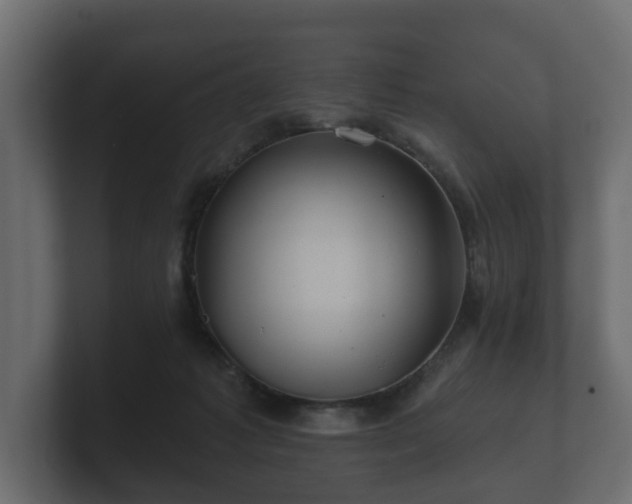 X0000100750221200806261550