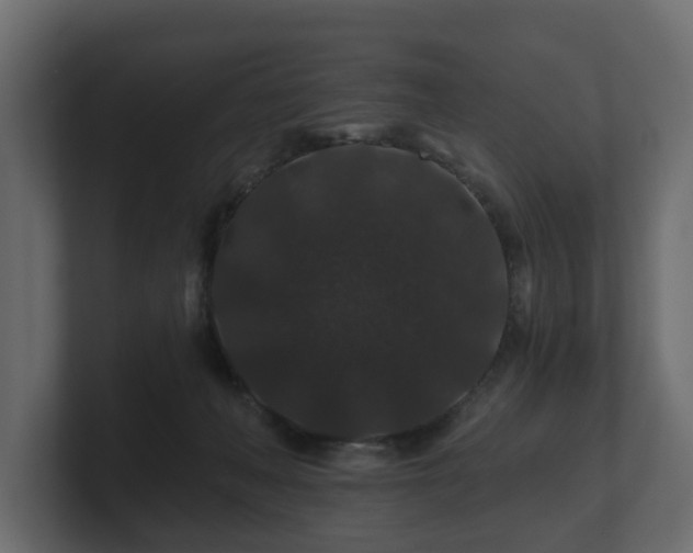 X0000100750222200806261550