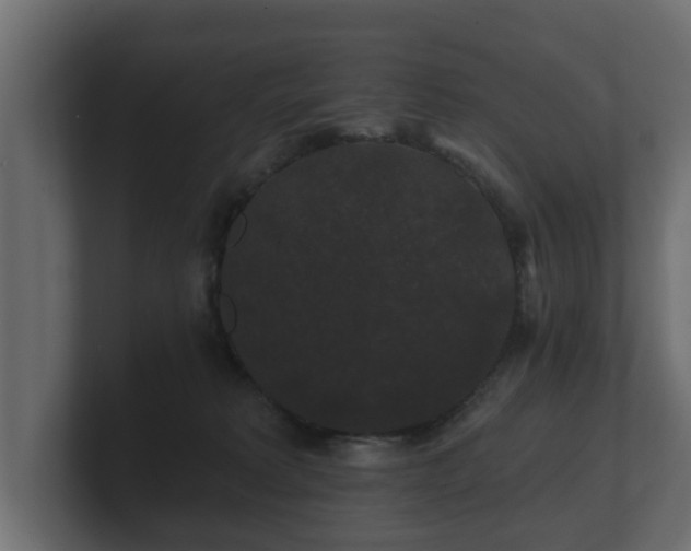 X0000100750229200806261550