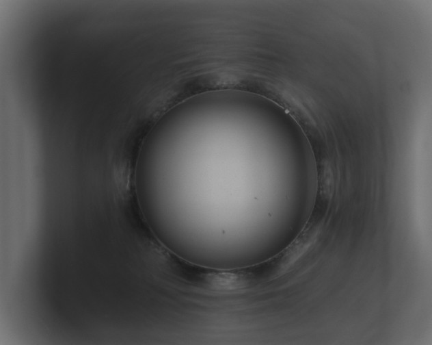 X0000100750230200806261550