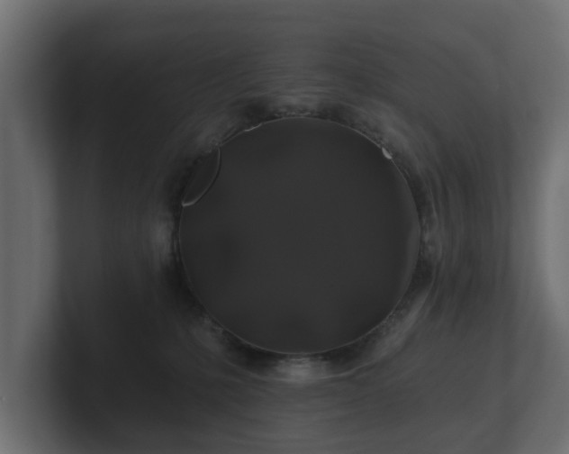 X0000100750231200806261550