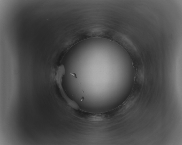 X0000100750232200806261550