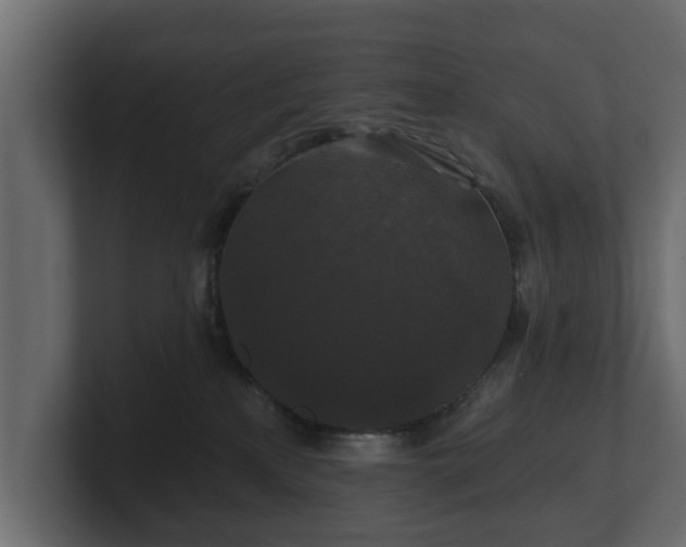 X0000100750233200806261550