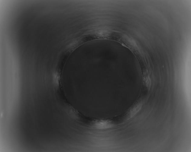 X0000100750235200806261550