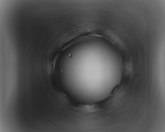 X0000100750236200806261550