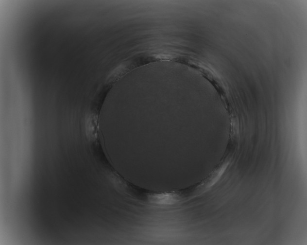 X0000100750237200806261550