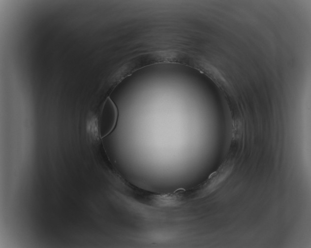 X0000100750238200806261550