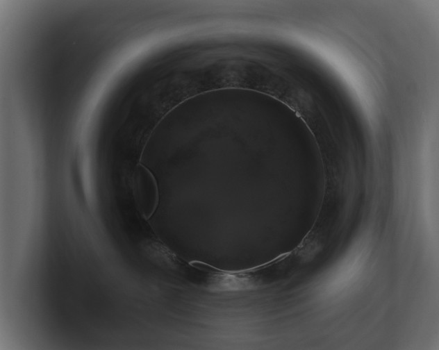 X0000100750239200806261550