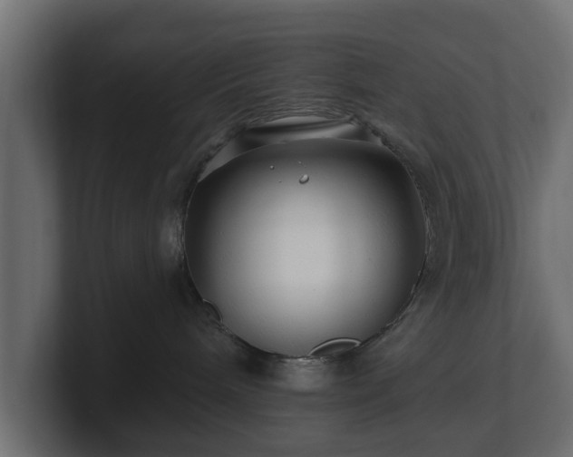 X0000100750240200806261550