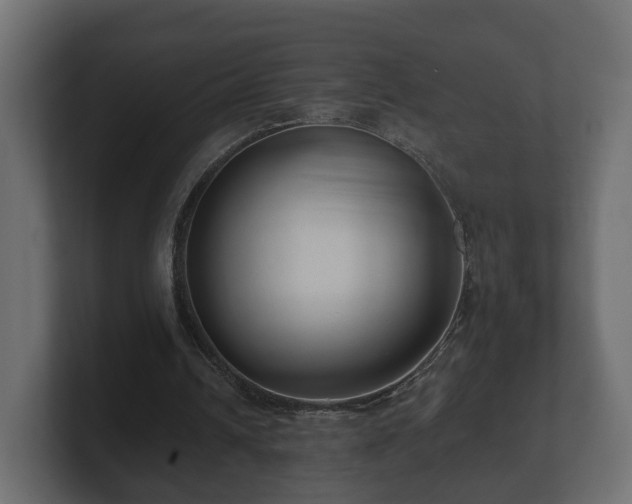 X0000100750242200806261549