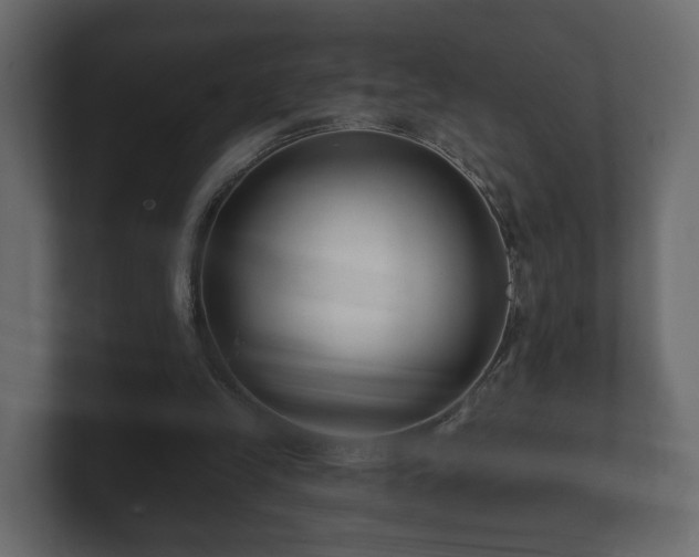 X0000100750245200806261549