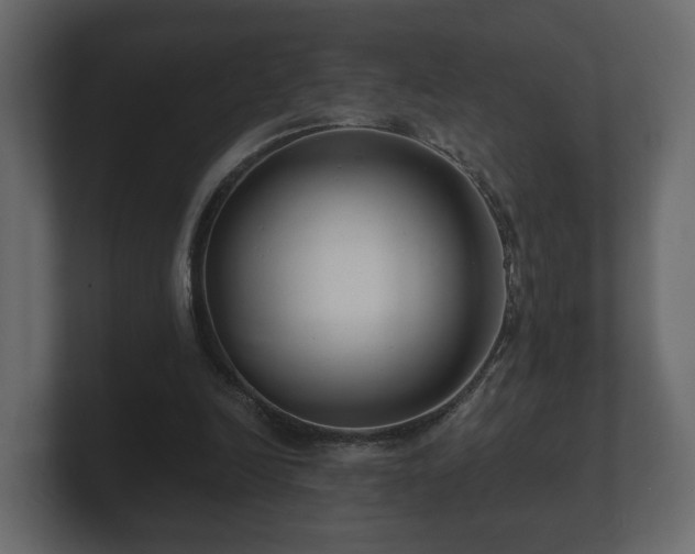 X0000100750246200806261550