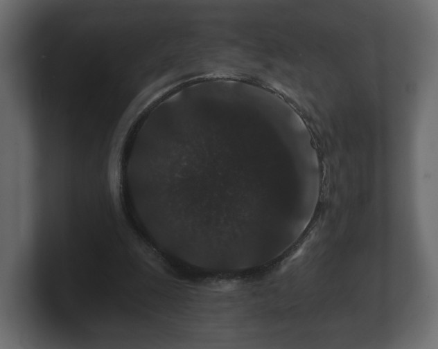 X0000100750247200806261550