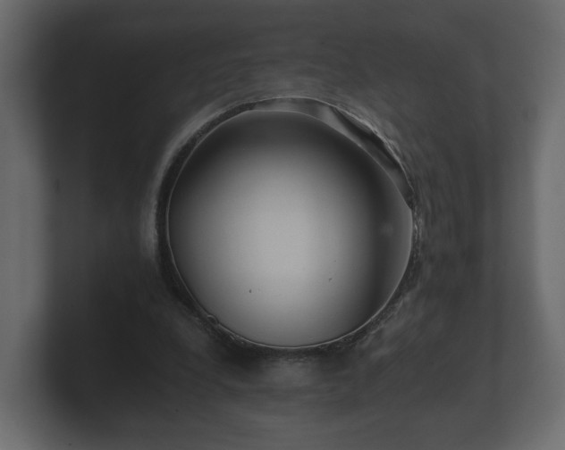 X0000100750248200806261550