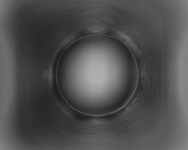 X0000100750250200806261550