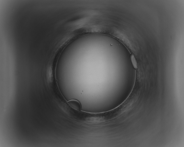 X0000100750251200806261550