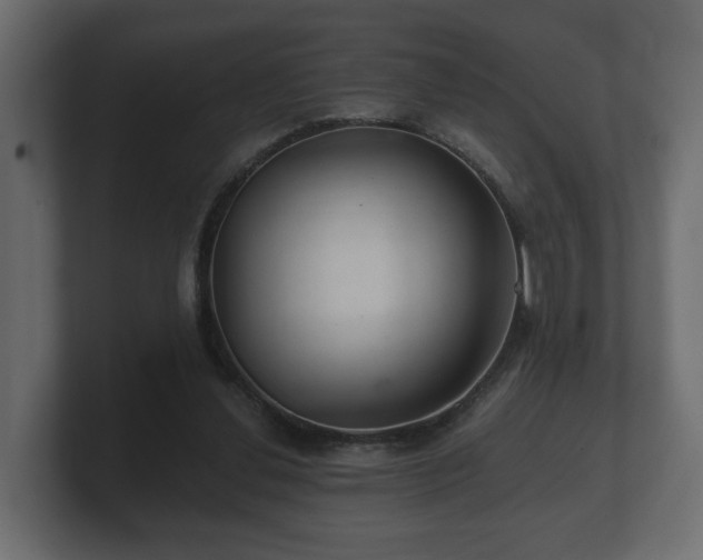 X0000100750252200806261550