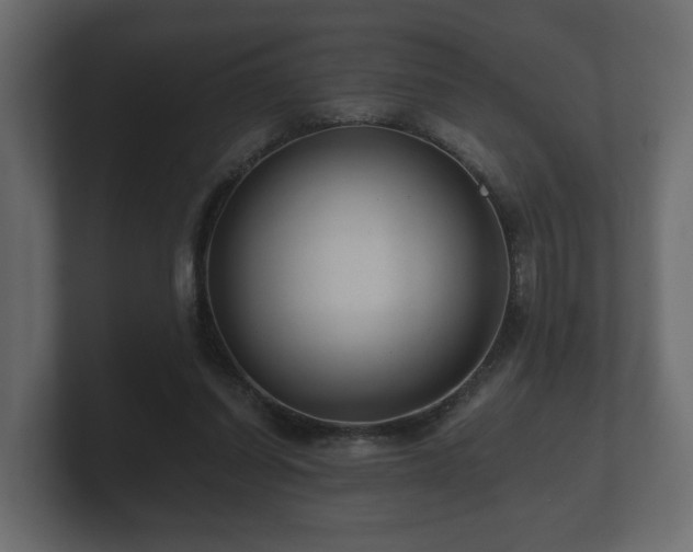 X0000100750254200806261550