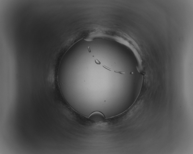 X0000100750257200806261550