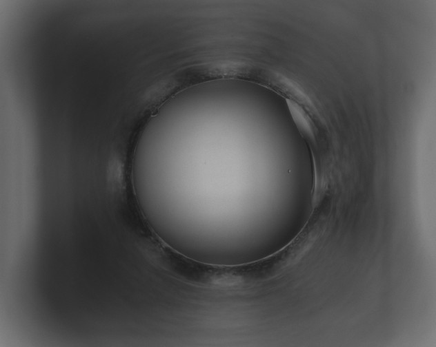 X0000100750258200806261550