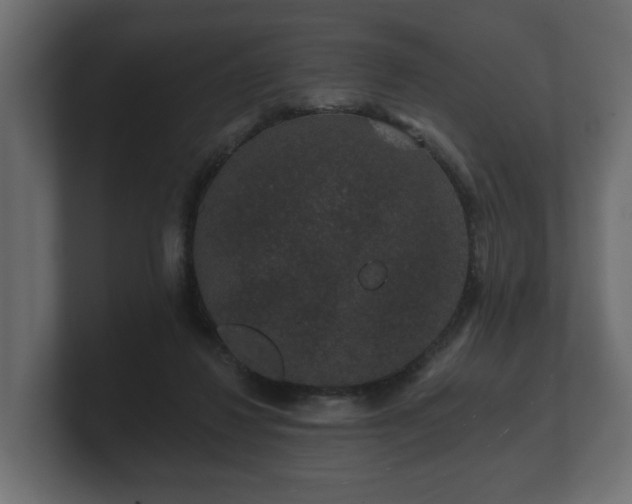 X0000100750260200806261550