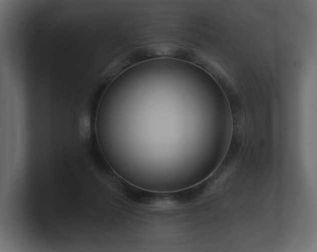 X0000100750262200806261550