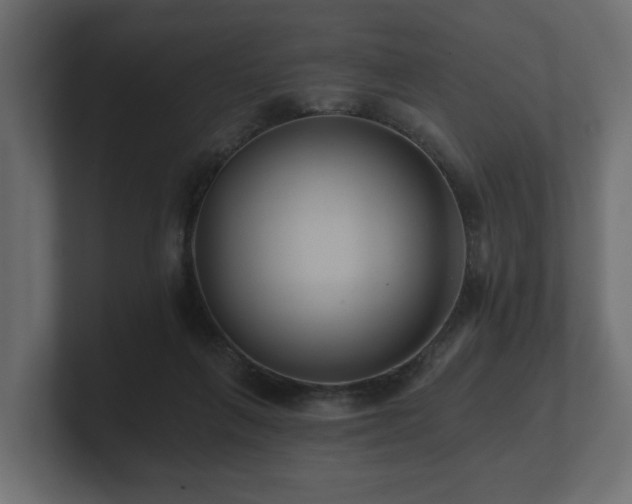 X0000100750263200806261550