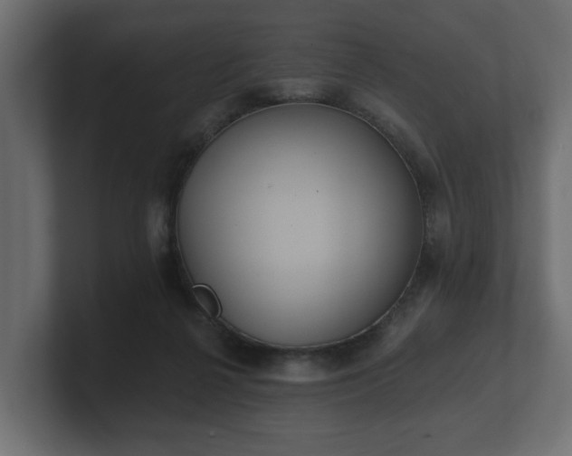 X0000100750264200806261550