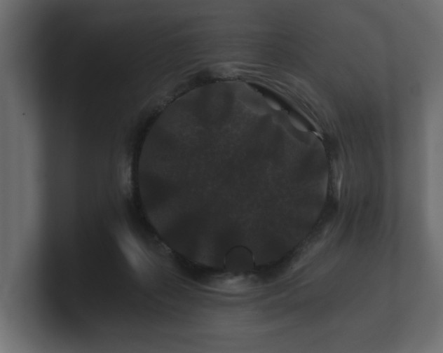 X0000100750267200806261550