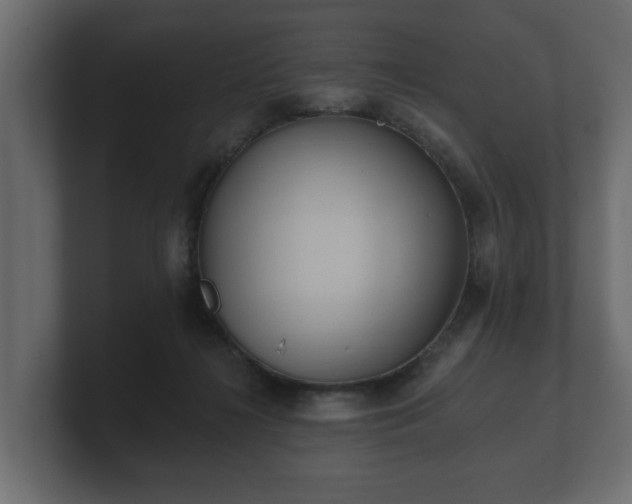 X0000100750268200806261550